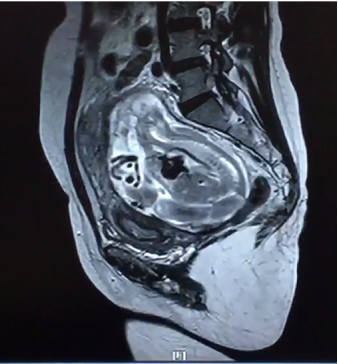 16506047521752.png 16506047521752.png