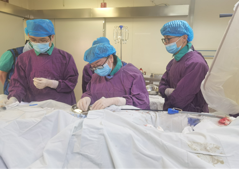 16506052619642.png 16506052619642.png