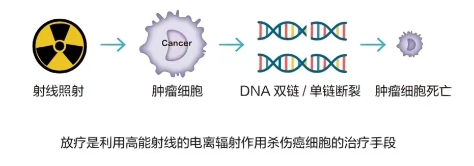 17058935859927.png 17058935859927.png