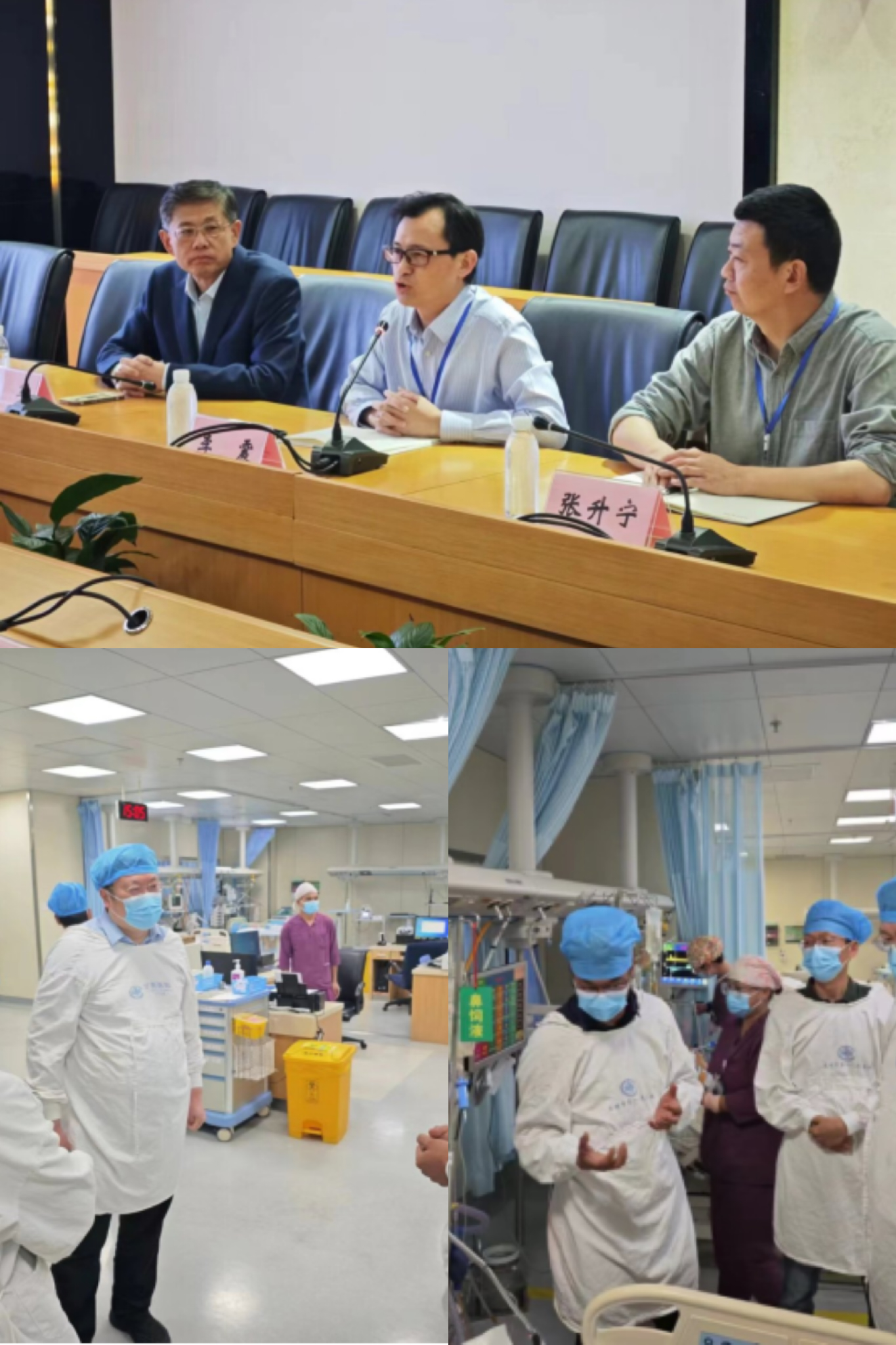 17169441711701.png 17169441711701.png