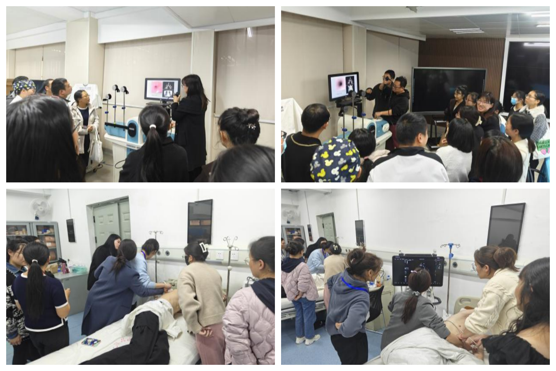 17334502327876.png 17334502327876.png